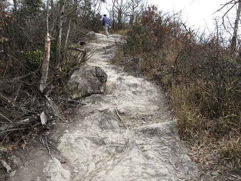 20140125hike (342)